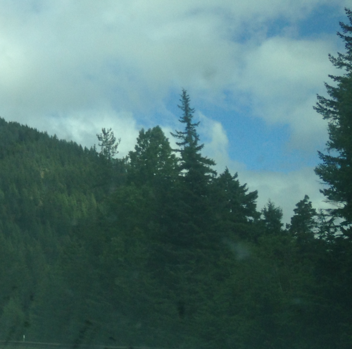 Bend Gymnastics Programs Hiring Gymnastics Instructors Oregon Gymnastic Coaching Positions Redmond OR Gyms Coach Jobs Available