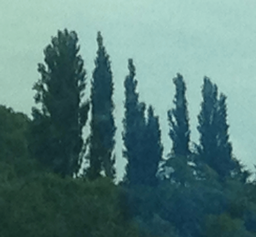 Eugene Acrobatics Tumbling Coaches Jobs Oregon Gyms Hire Gymnastics Instructors Acro Job Board