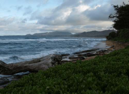 Kauai Gymnastics Coaching Job Hawaii Gymnastics Coach Position Open Gymnastic Programs Available