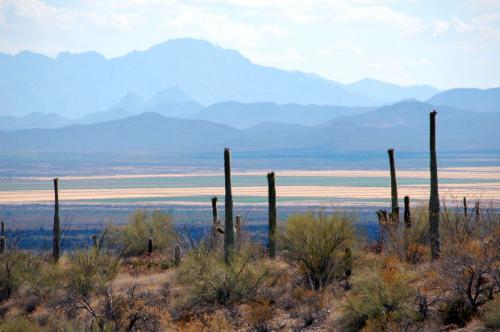 Tucson Arizona Gymnastics Coaching Jobs Available Apply Gymnastic Coach Positions AZ Gymnastics Coaching Positions Open